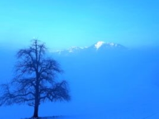 Winter Meditation im Meditationszentrum Kloster Nigredo mit Meister Abt Reding