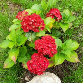 Richtfest Einweihung Segnung mit Meister Marcel Reding