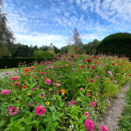 Meditation Week May 7 Days at the Nigredo Monastery