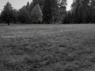 Meditation St. Gallen im Friedhof Feldli mit Meister Marcel Reding