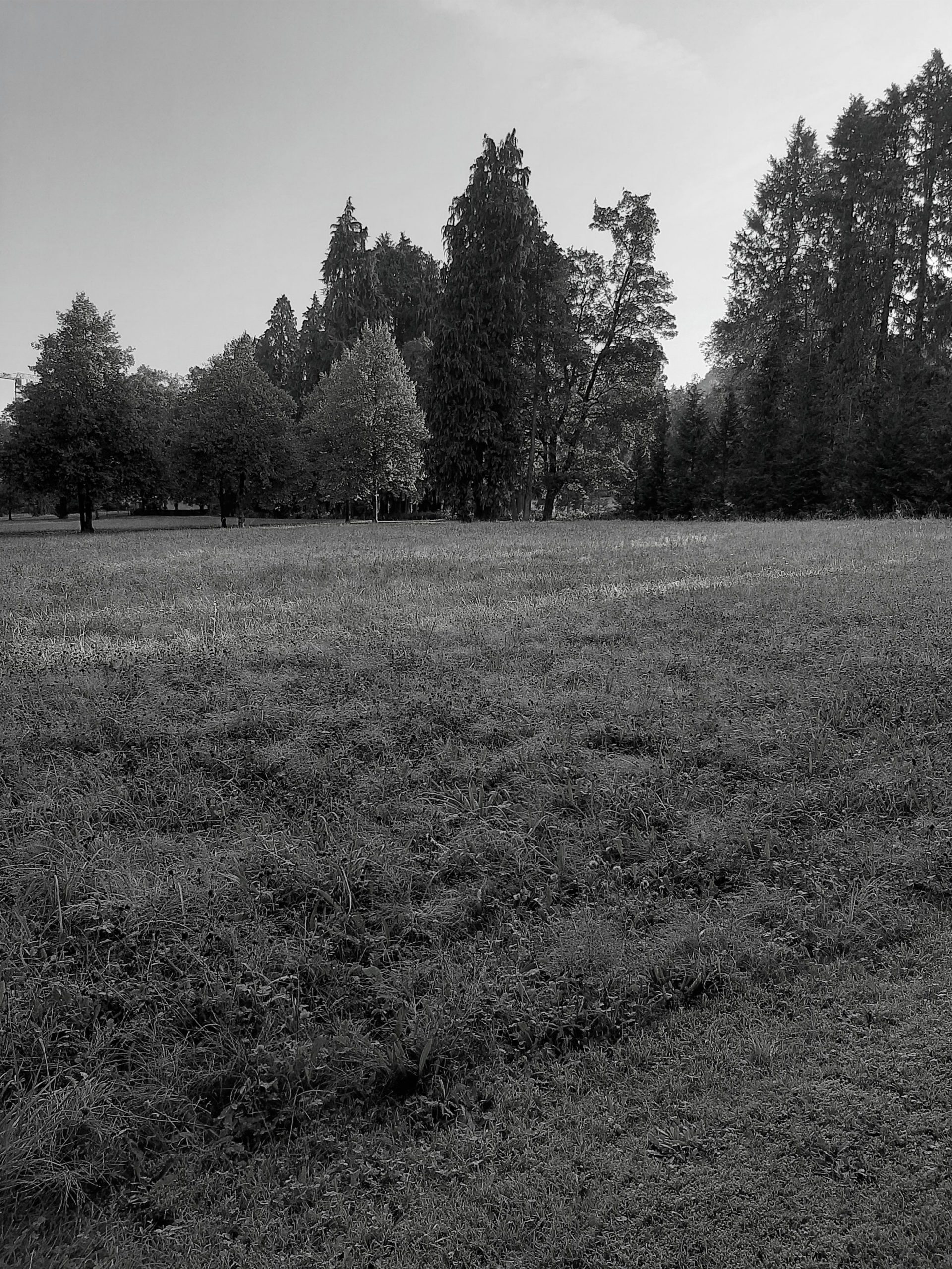 Meditation St. Gallen im Friedhof Feldli mit Meister Marcel Reding