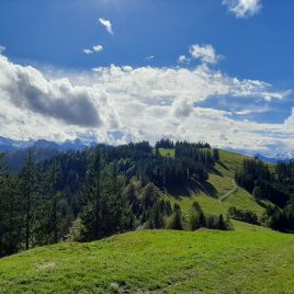Der erste Pilgerweg des Zen in Europa gegründet von Meister Marcel Reding