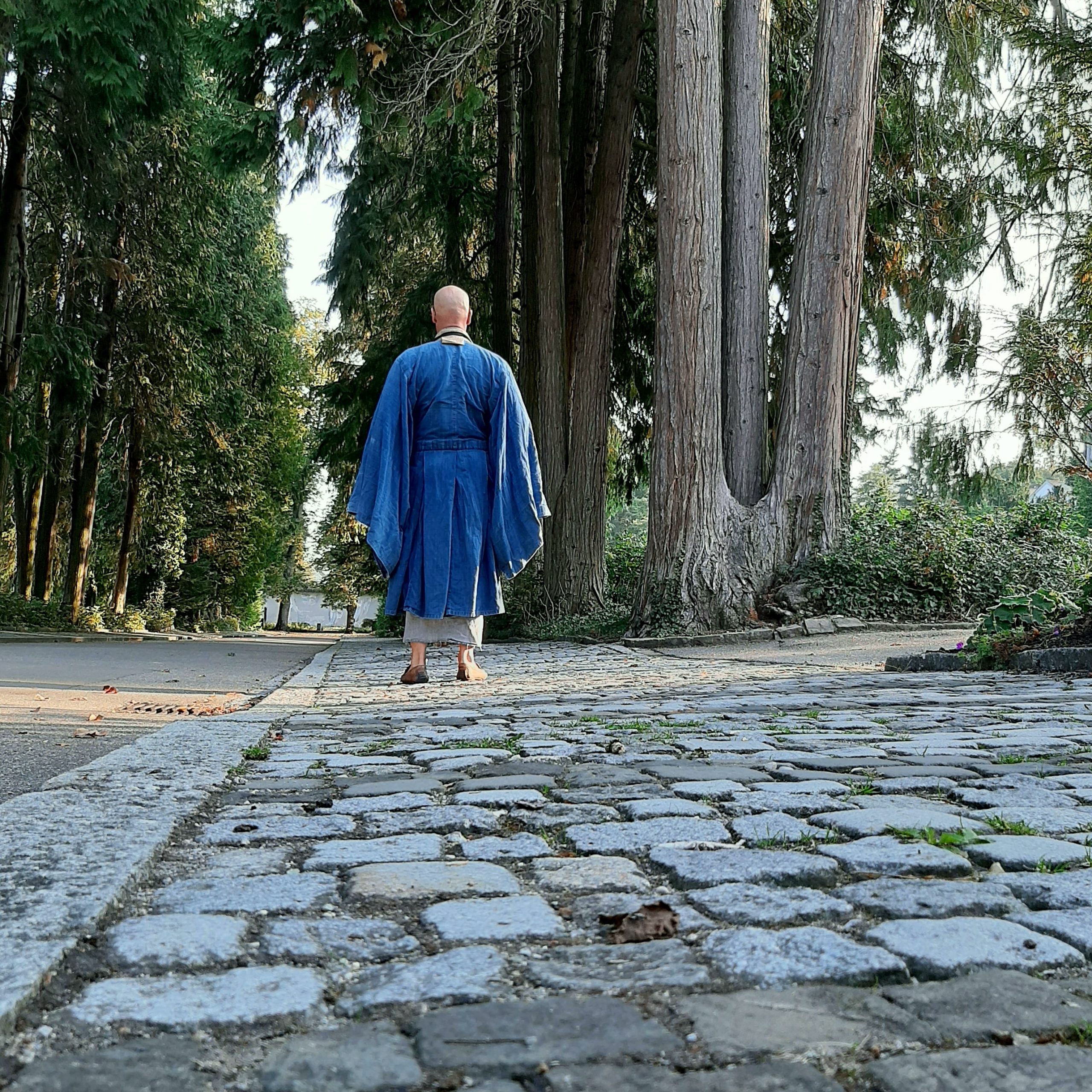Meditation St. Gallen im Friedhof Feldli mit Meister Marcel Reding