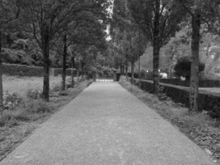 Meditation Chur im Friedhof Totengut mit Meister Marcel Reding