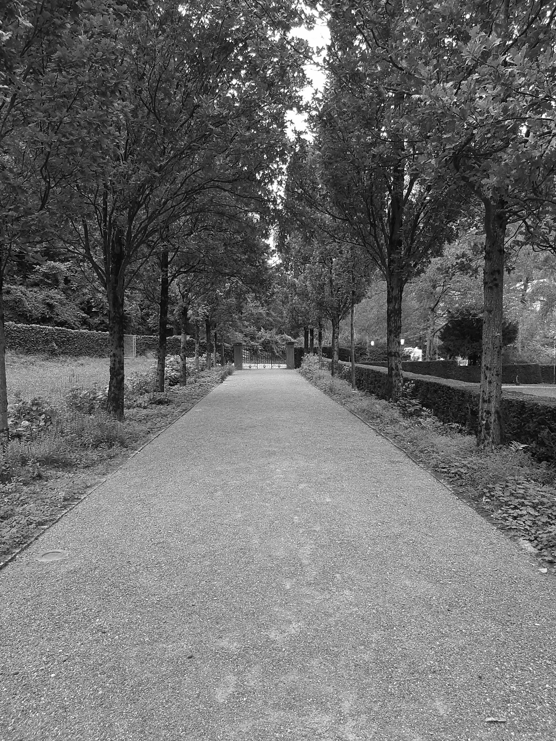 Meditation Chur im Friedhof Totengut mit Meister Marcel Reding