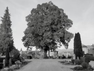 Meditation Luzern im Friedhof Friedental mit Meister Marcel Reding