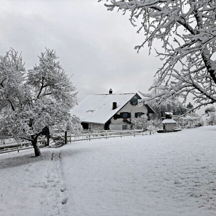 Winter Meditation im Kloster Nigredo in der Schweiz