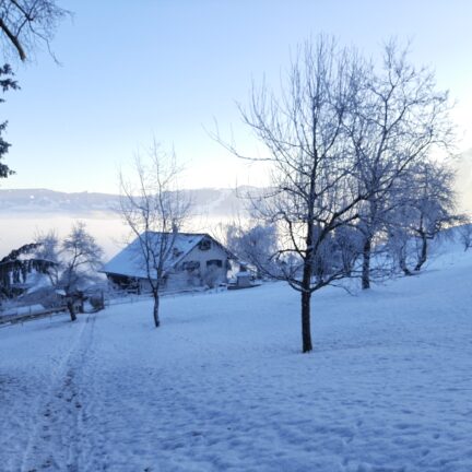 Februar Meditationswoche im Kloster Nigredo