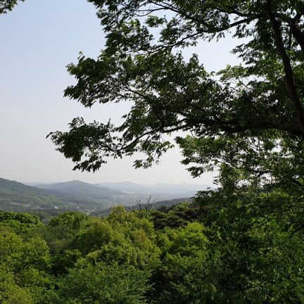 Sudeoksa Zen Tempel - Korea