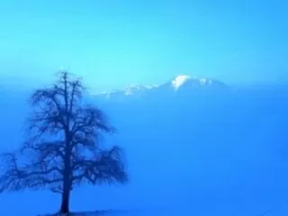 Winter Meditation im Meditationszentrum Kloster Nigredo mit Meister Abt Reding