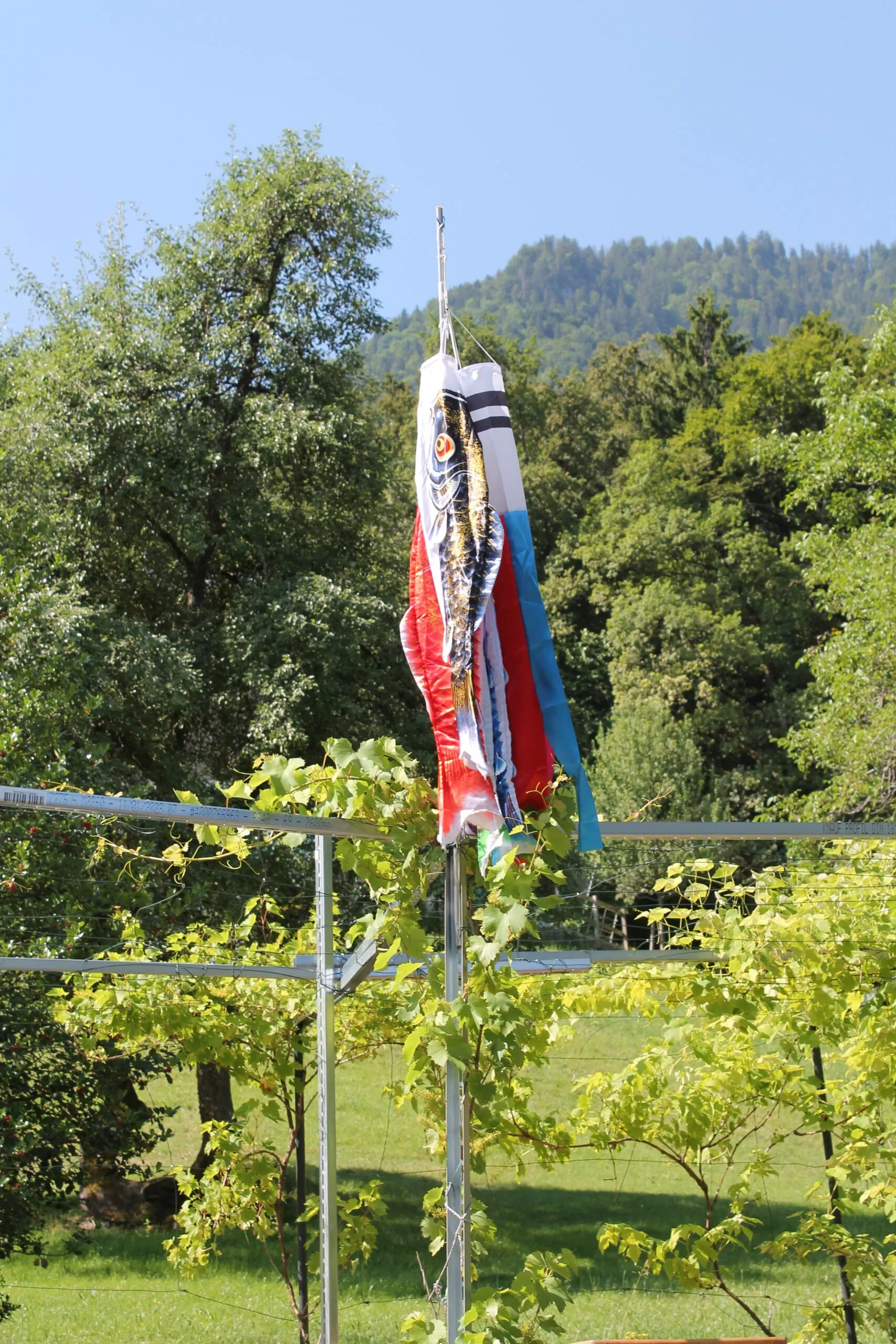 Tag der offenen Tür 2023 im Kloster Nigredo Reichenburg